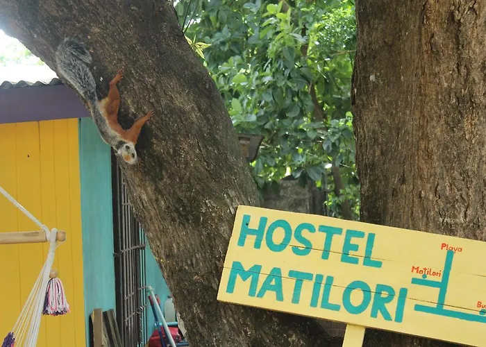 Matilori *